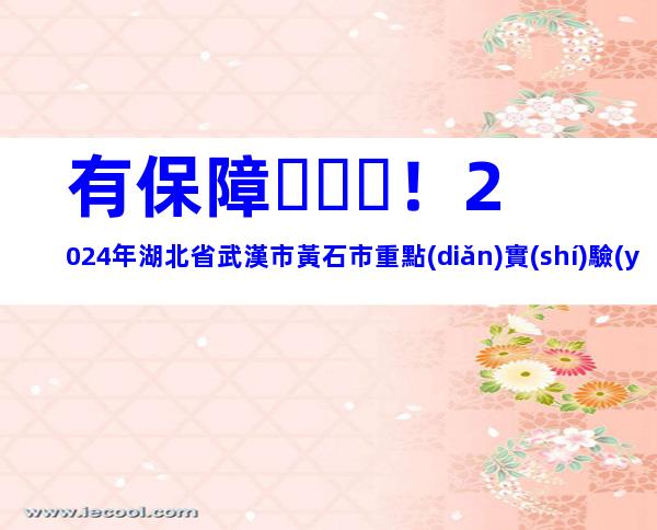 有保障！2024年湖北省武漢市黃石市重點(diǎn)實(shí)驗(yàn)室申報(bào)條件、步驟指南